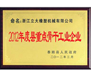 榮譽(yù)資質(zhì)